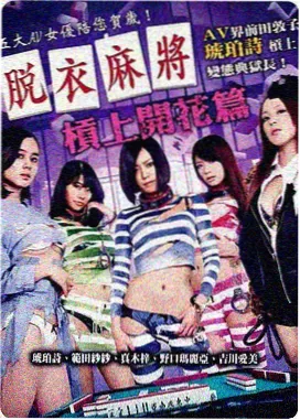 海外悬疑剧雾港档案的字幕版本封面
